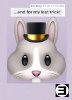 RABBIT1.jpg
