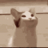 upload_2024-7-10_0-13-20.gif