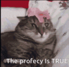 upload_2024-7-11_17-2-54.gif