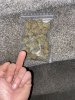 IMG_3678.jpeg