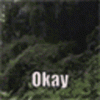 upload_2024-7-12_23-48-41.gif