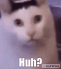 upload_2024-7-13_18-32-5.gif