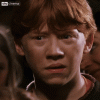 upload_2024-7-14_4-13-40.gif