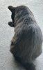 IMG_8947.jpeg