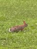 IMG_9674.jpeg