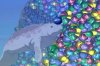 IMG_1150.jpeg