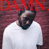 IMG_0308.png