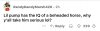 IMG_0724.jpeg