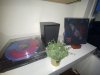IMG_2365.jpeg