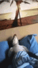 IMG_6877.gif