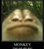 IMG_9567.jpeg
