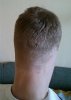 IMG_7702.jpeg