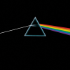 IMG_0611.png