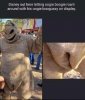 IMG_3443.jpeg