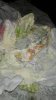 images (3).jpeg