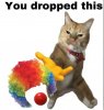 IMG_5765.jpeg