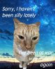 IMG_3099.jpeg