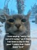 IMG_3108.jpeg