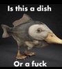 IMG_7989.jpeg
