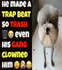IMG_8924.jpeg