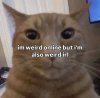 IMG_6457.jpeg