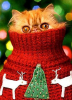 upload_2015-12-25_10-25-47.png