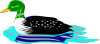 8389-illustration-of-a-green-headed-loon-pv.png