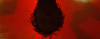 GIG.PNG