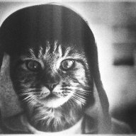 Jabsoupy