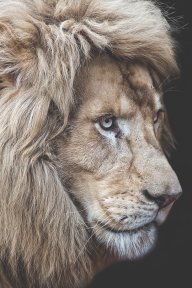 Endangered