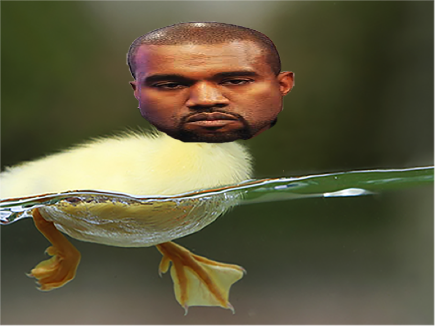 Ducks
