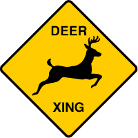 TheSignYeRanInto