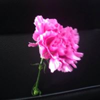 Cherish79