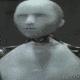 NC 28303