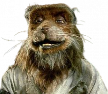 Splinter