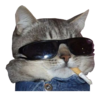 :smokedcat: