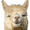 :DopeAlpaca: