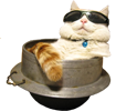 :bowl: