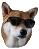 :therealdoge: