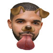 :drakedog: