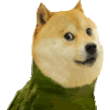 :dogeroll: