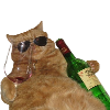 :coolcat: